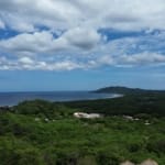 Tamarindo 5 Hectare Lot - 1