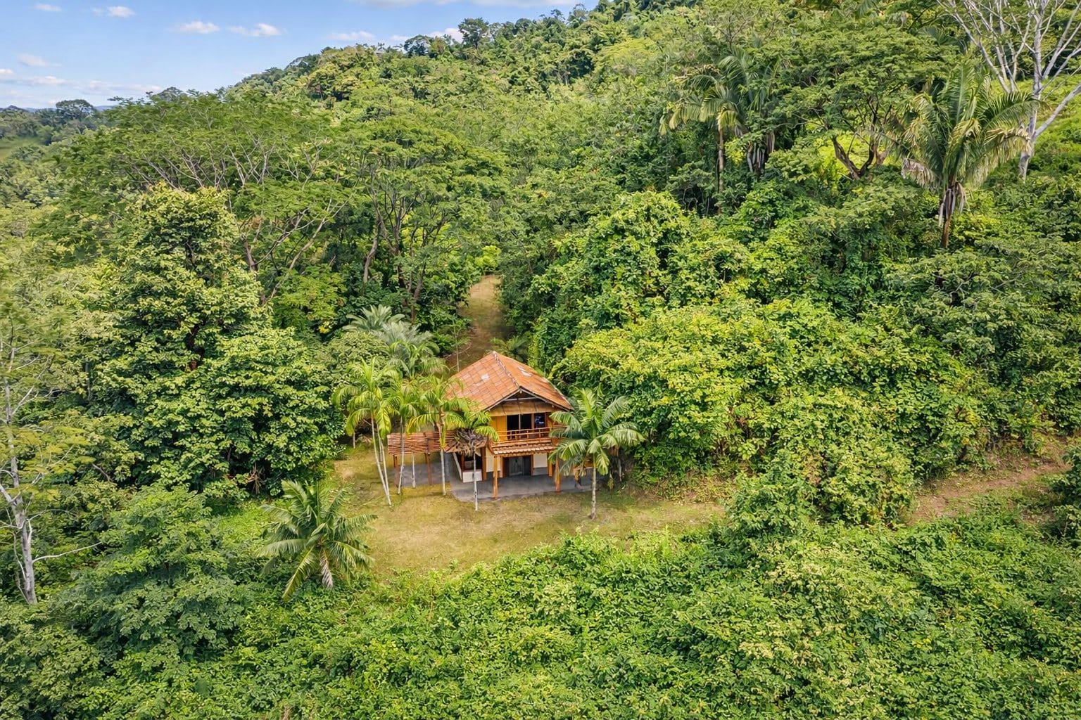 Serene Yoga Retreat - 1