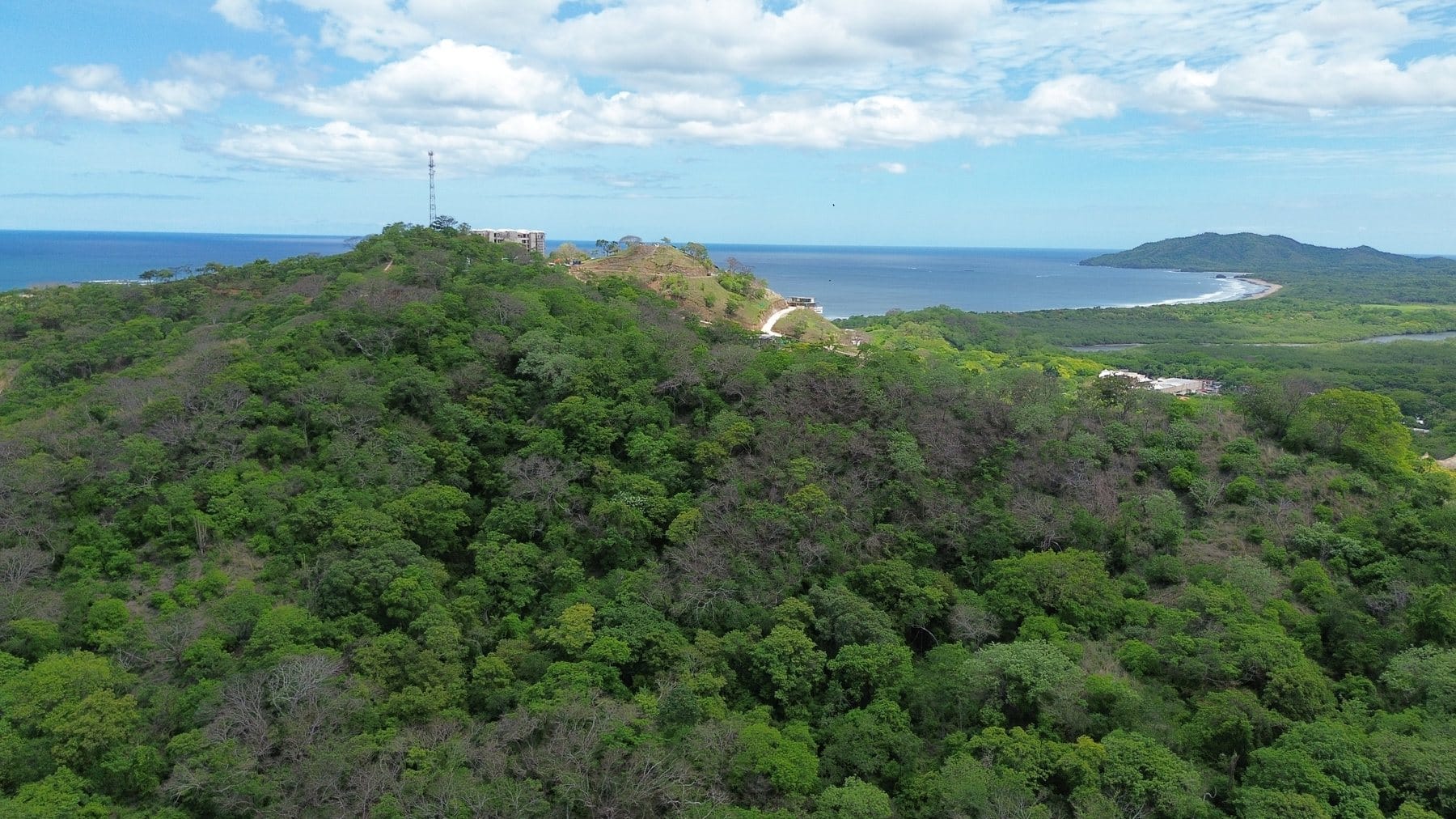 Tamarindo 5 Hectare Lot - 7