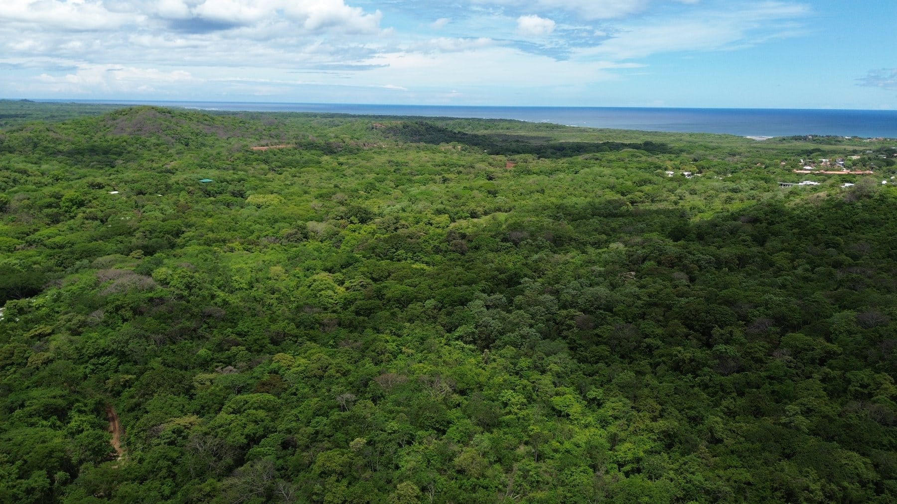 Tamarindo 5 Hectare Lot - 17
