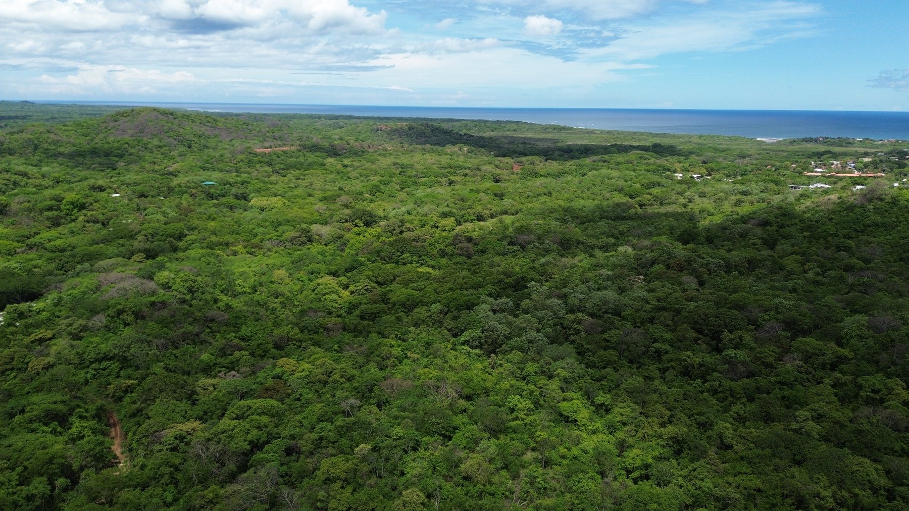 Tamarindo 5 Hectare Lot - 16