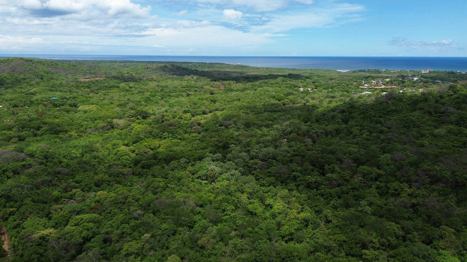 Tamarindo 5 Hectare Lot - 2