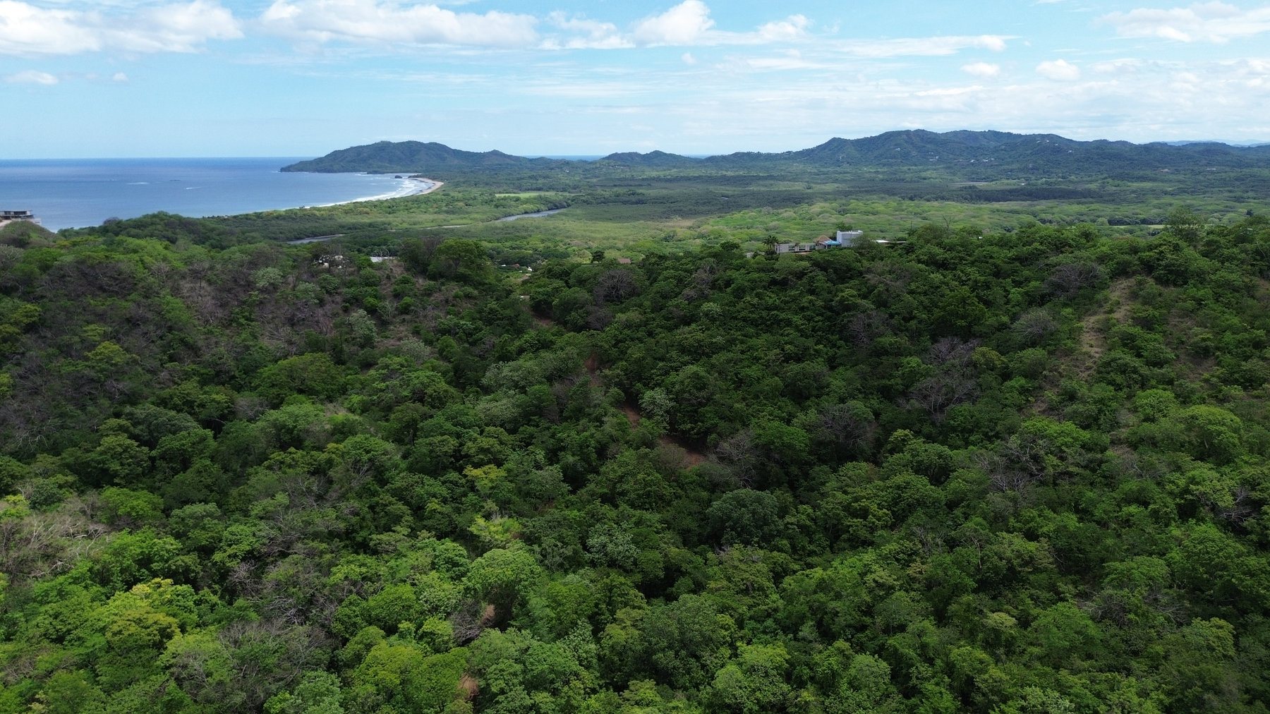 Tamarindo 5 Hectare Lot - 8