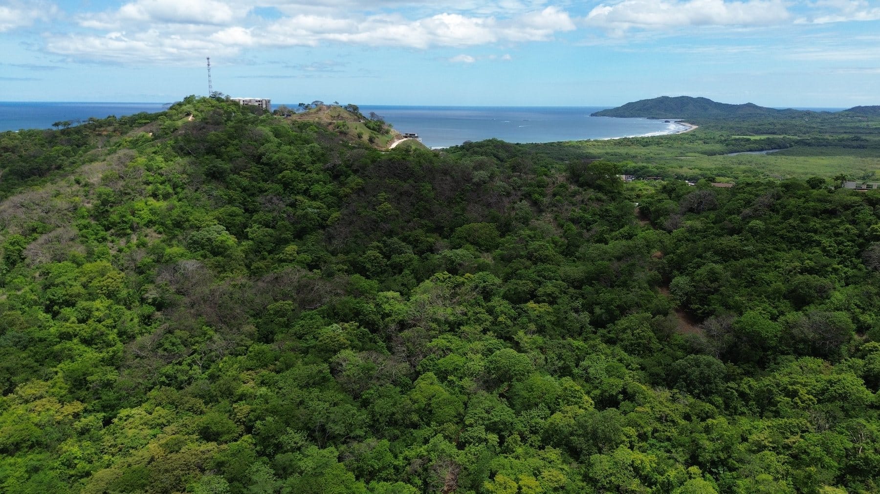 Tamarindo 5 Hectare Lot - 8