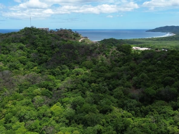 Tamarindo 5 Hectare Lot - 14