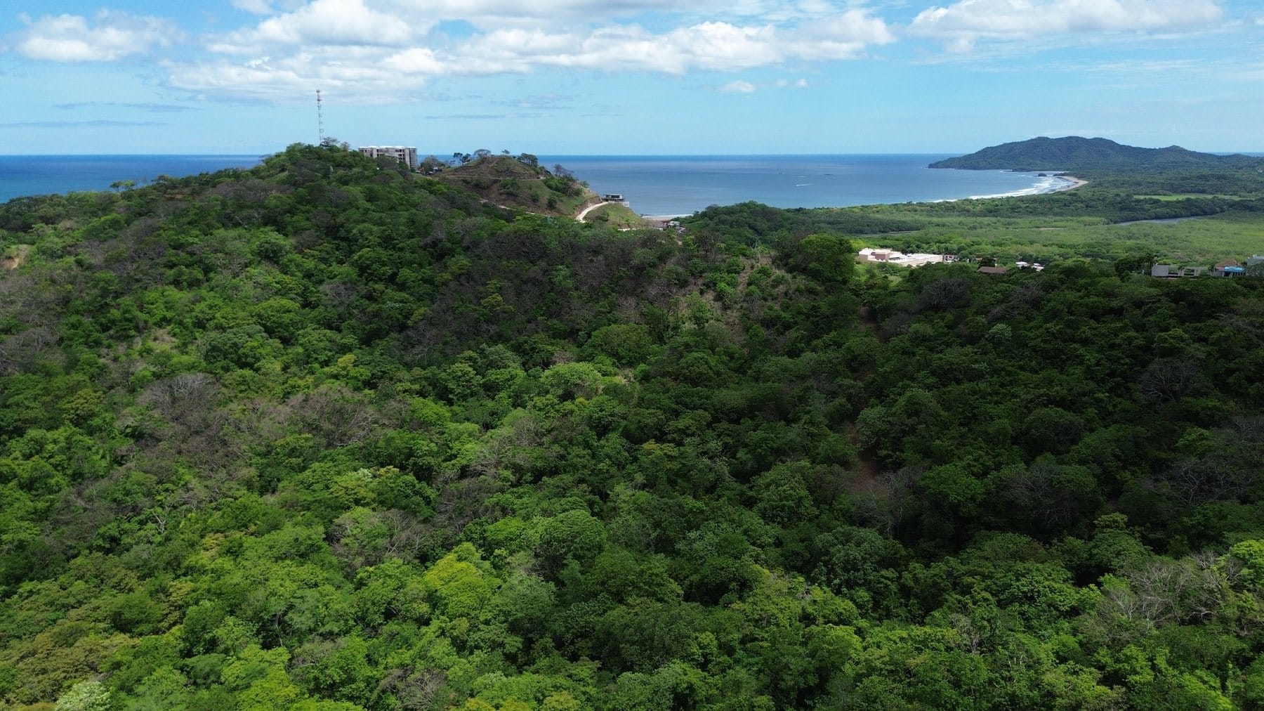 Tamarindo 5 Hectare Lot - 14