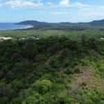 Tamarindo 5 Hectare Lot - 2