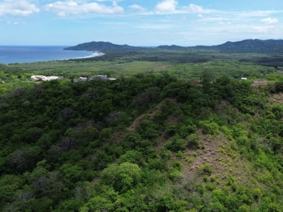 Tamarindo 5 Hectare Lot - 2