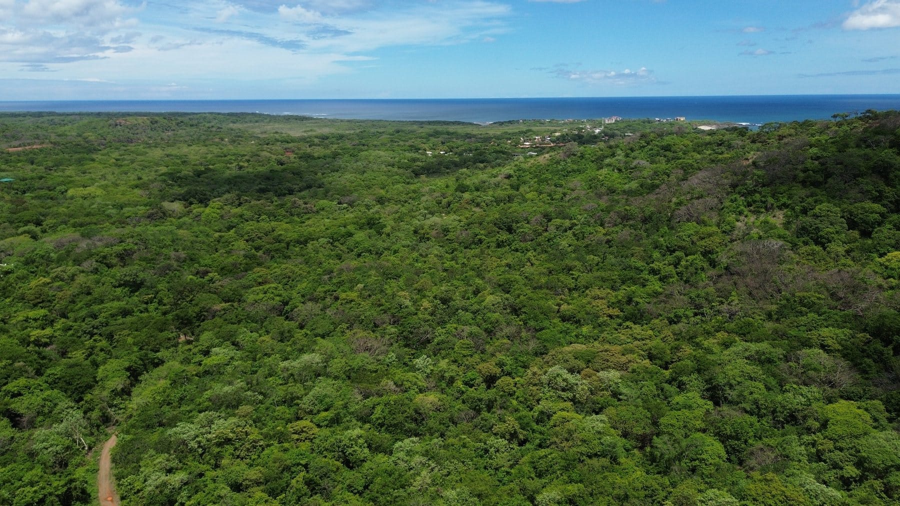Tamarindo 5 Hectare Lot - 16