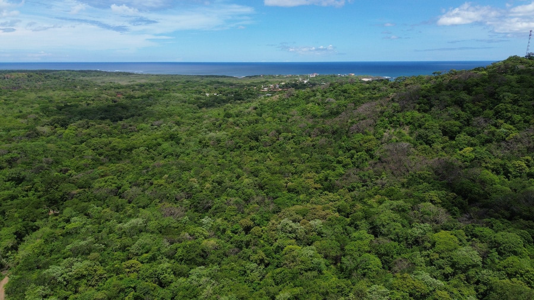 Tamarindo 5 Hectare Lot - 13