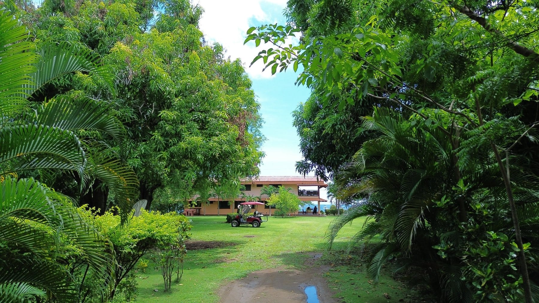 Coco Beach front Gem - 15
