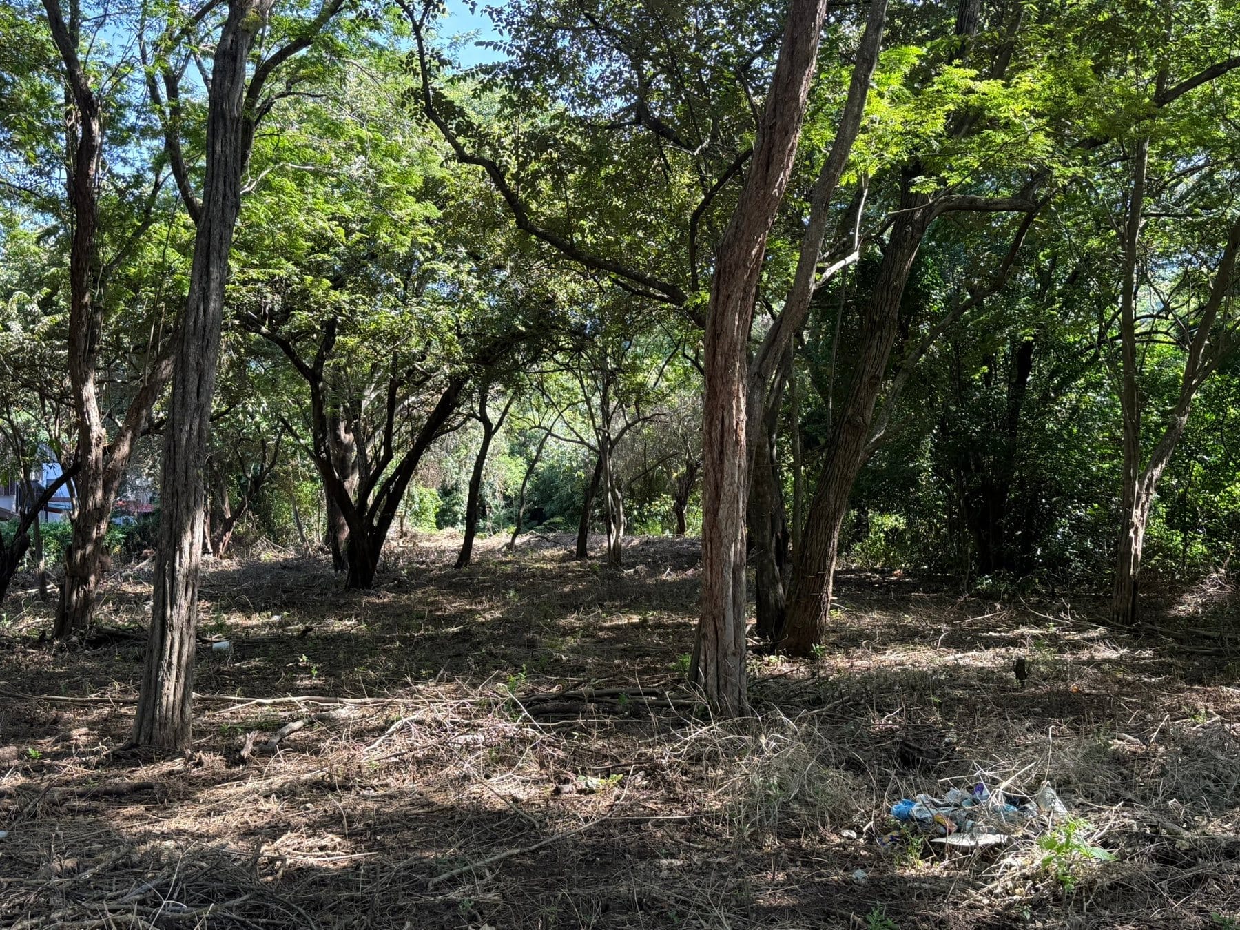 Ocotal Lot 1500 m2 - 8