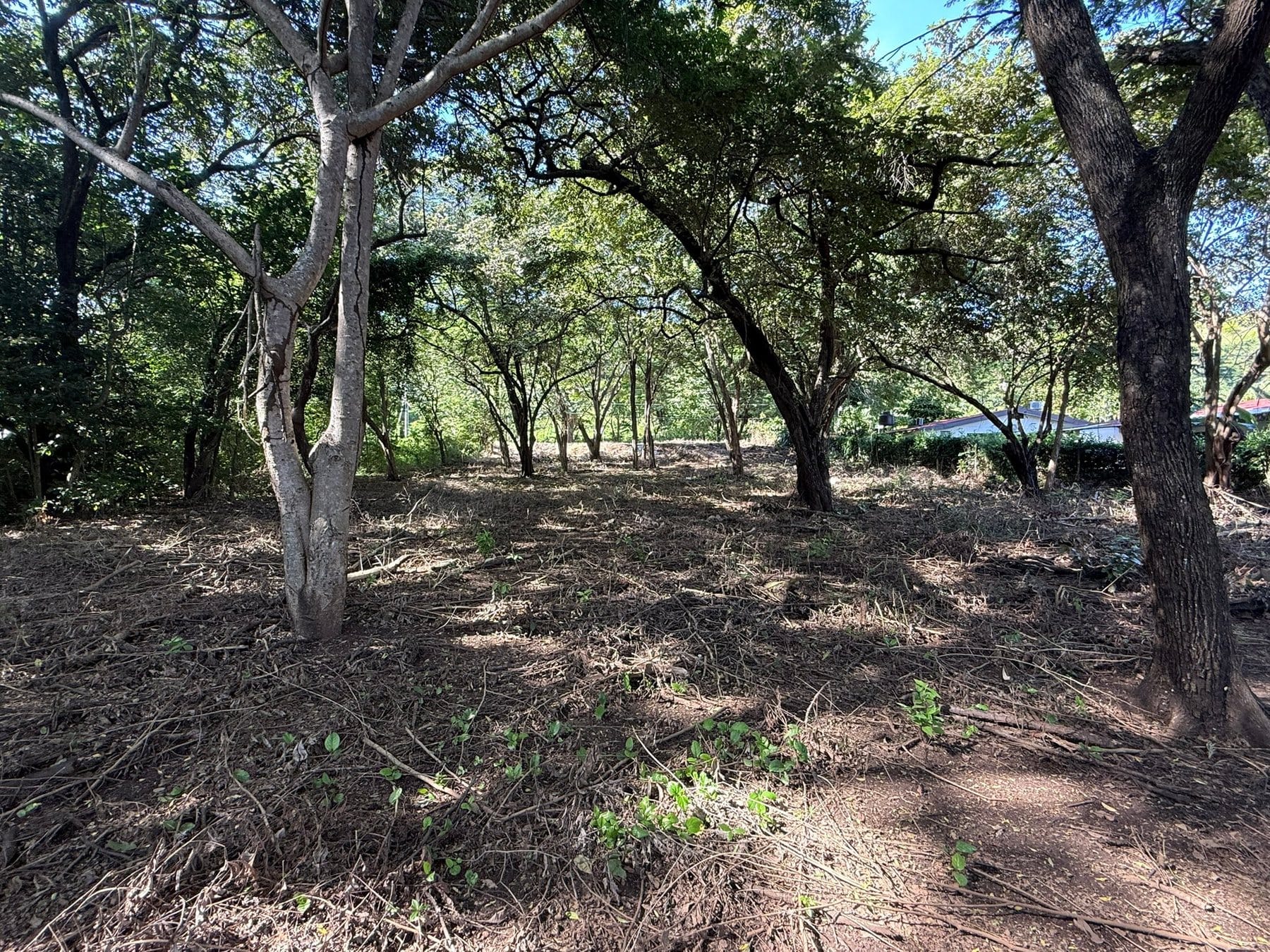 Ocotal Lot 1500 m2 - 5