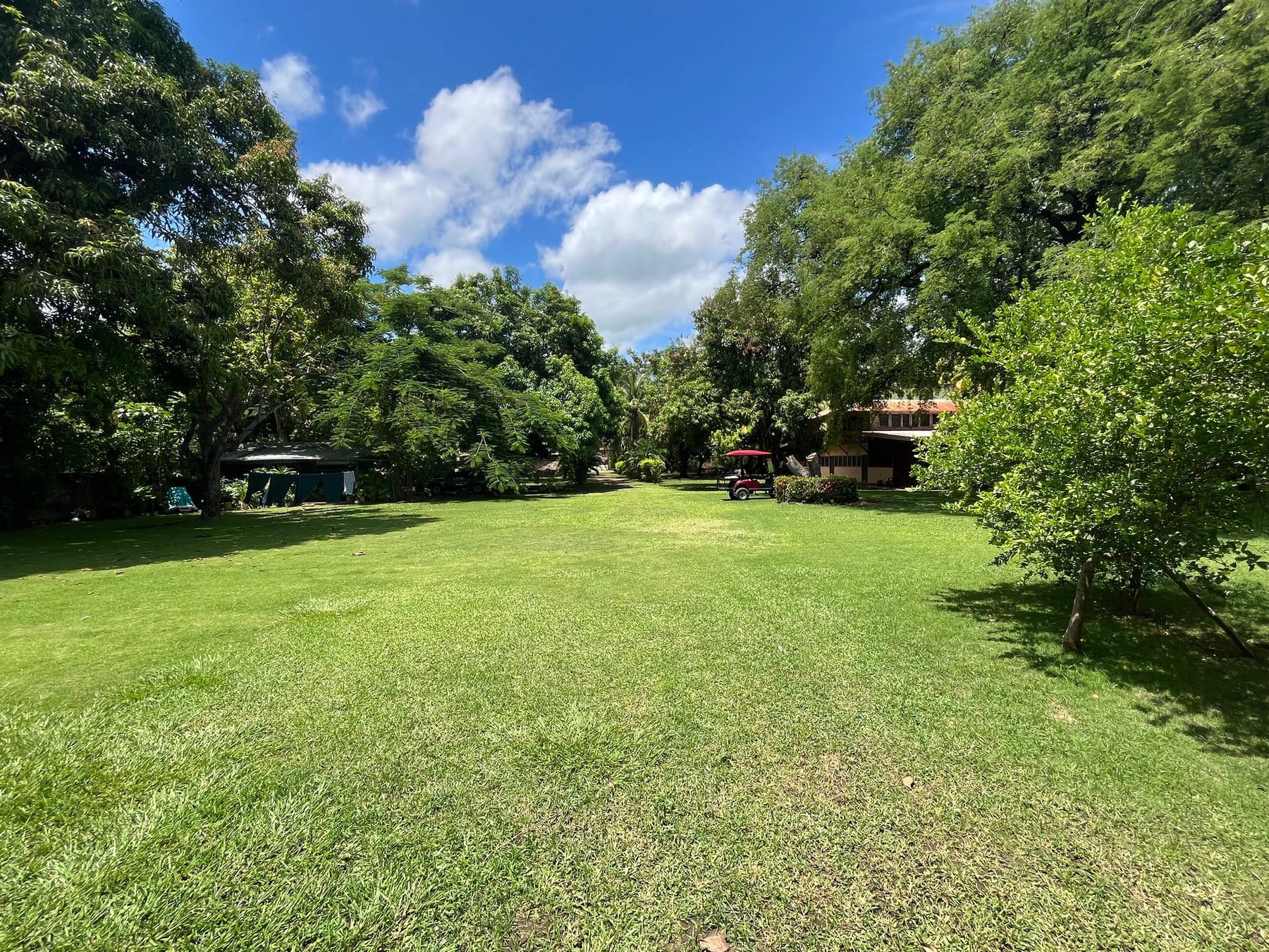 Coco Beach front Gem - 16