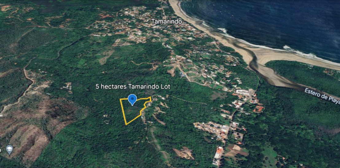 Tamarindo 5 Hectare Lot - 20