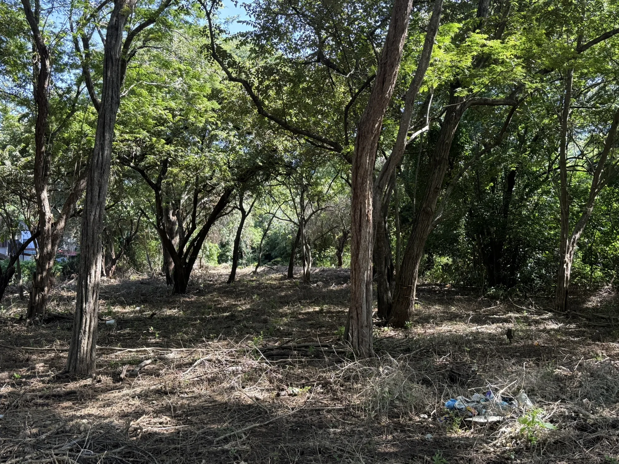 Ocotal Lot 1500 m2 - 8