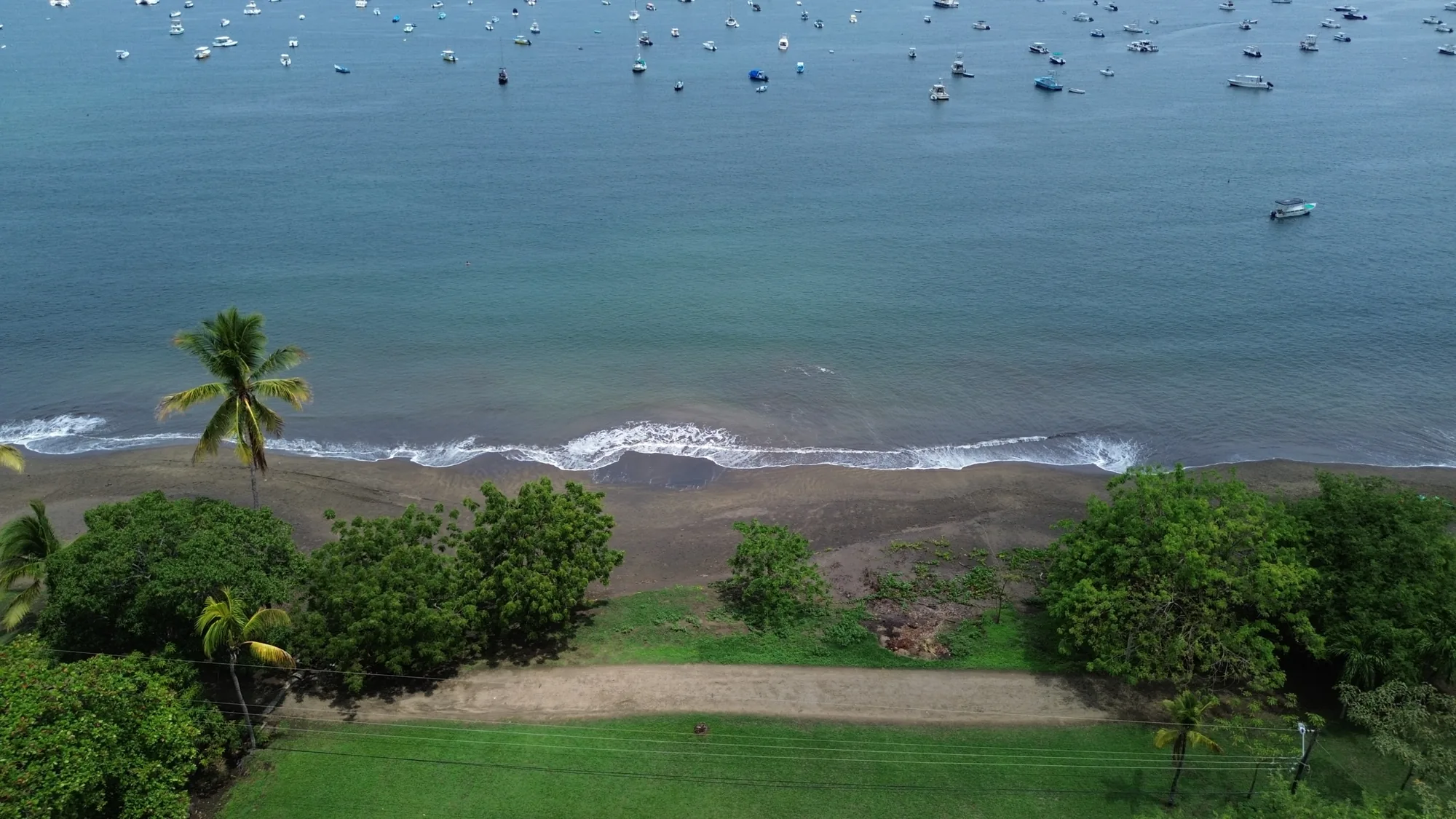 Coco Beach front Gem - 20