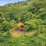 Serene Yoga Retreat - 1