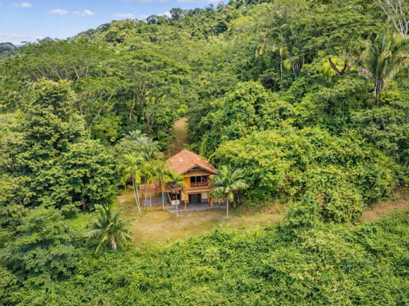 Serene Yoga Retreat - 1