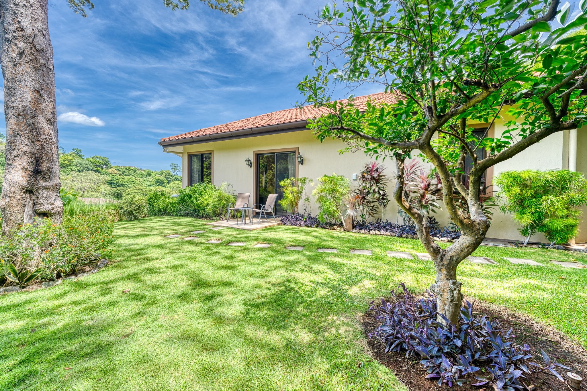 Casa Dulce Vida Pacifico rental home - Backyard 1