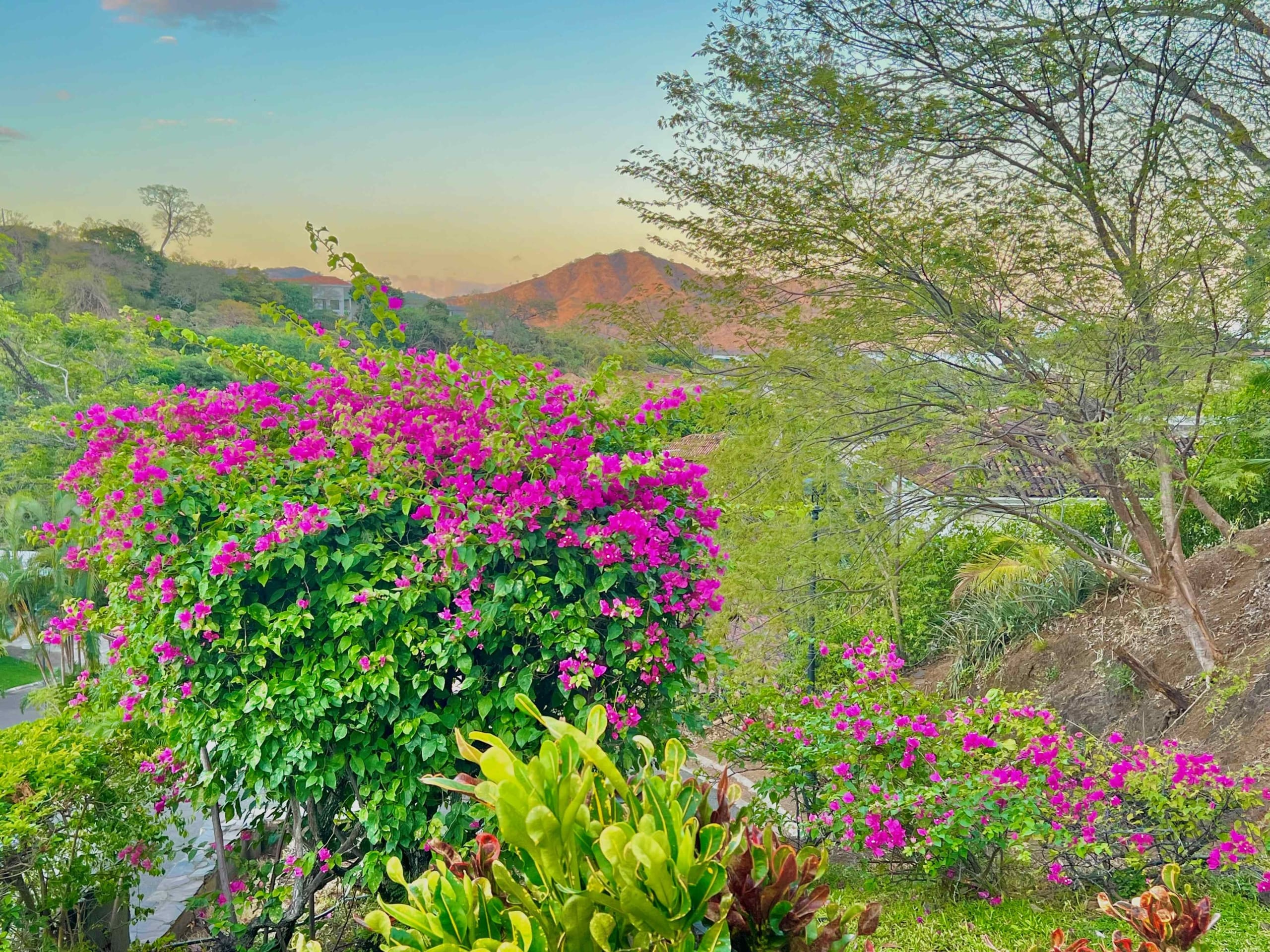Casa Dulce Vida Pacifico rental home - Garden1