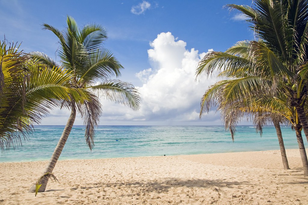 Tropical beach with palm trees and blue ocean